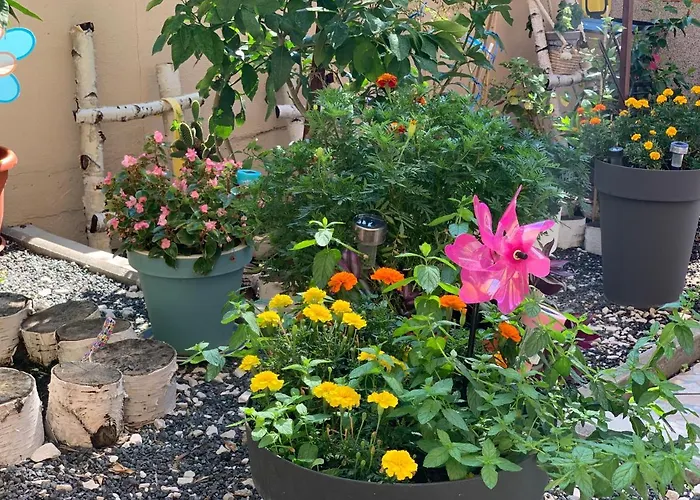 Mia Апартаменти